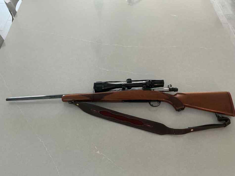 Ruger M77 .243