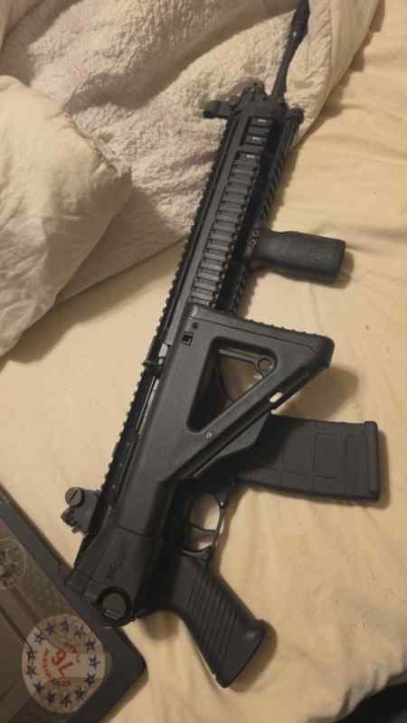 Sig556 SWAT